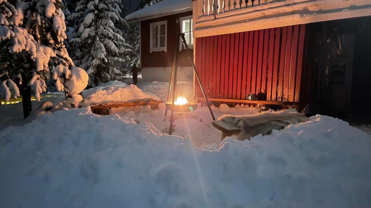 Mountain Cabin Lofsdalen Buitenkant foto