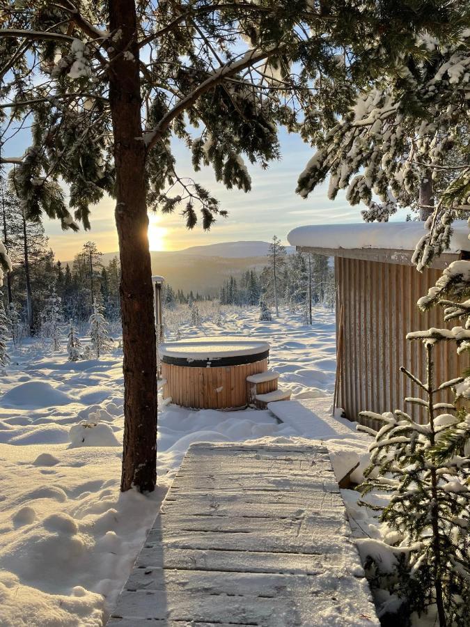 Mountain Cabin Lofsdalen Buitenkant foto