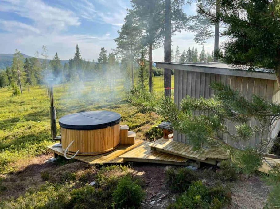 Mountain Cabin Lofsdalen Buitenkant foto