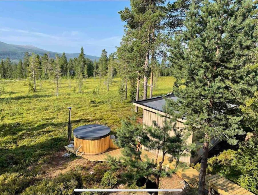 Mountain Cabin Lofsdalen Buitenkant foto