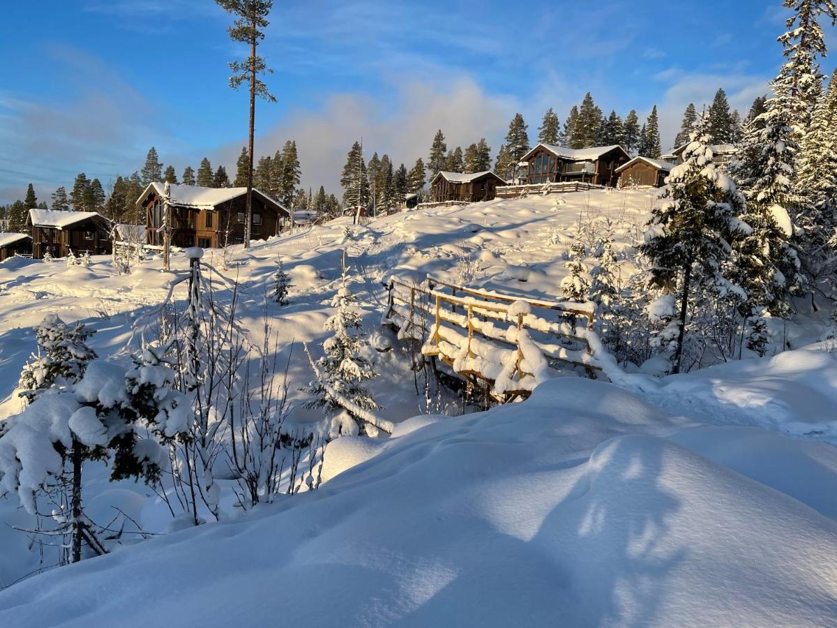 Mountain Cabin Lofsdalen Buitenkant foto