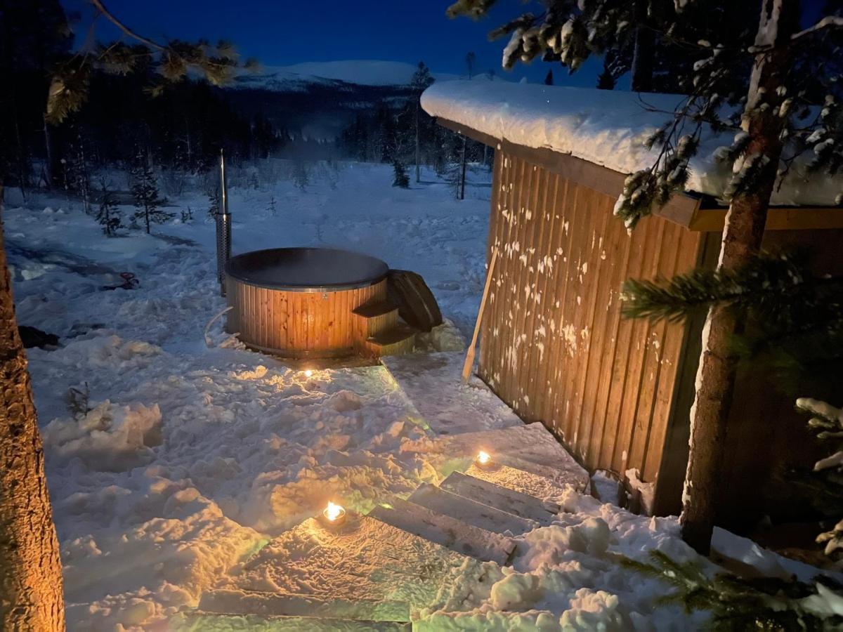 Mountain Cabin Lofsdalen Buitenkant foto