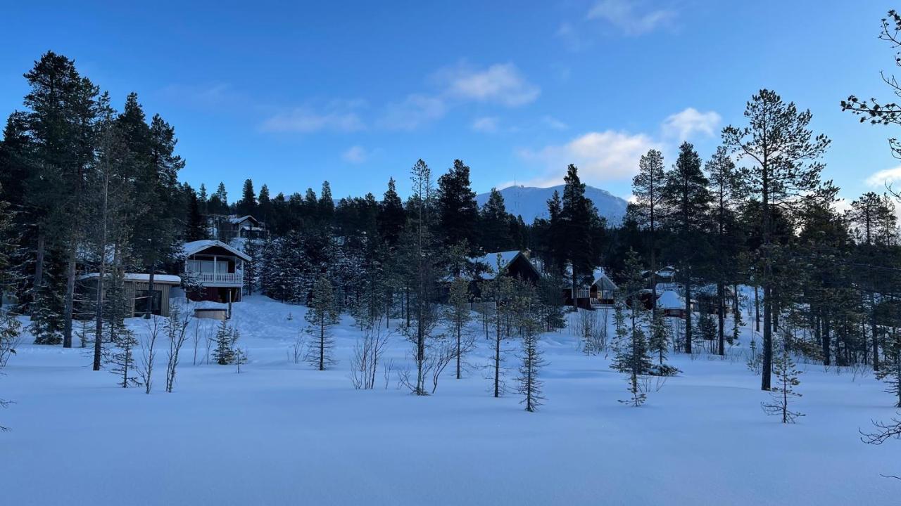 Mountain Cabin Lofsdalen Buitenkant foto