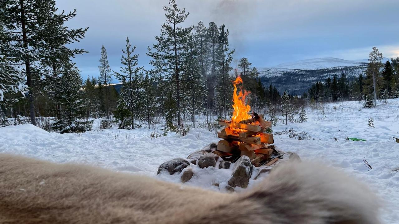 Mountain Cabin Lofsdalen Buitenkant foto